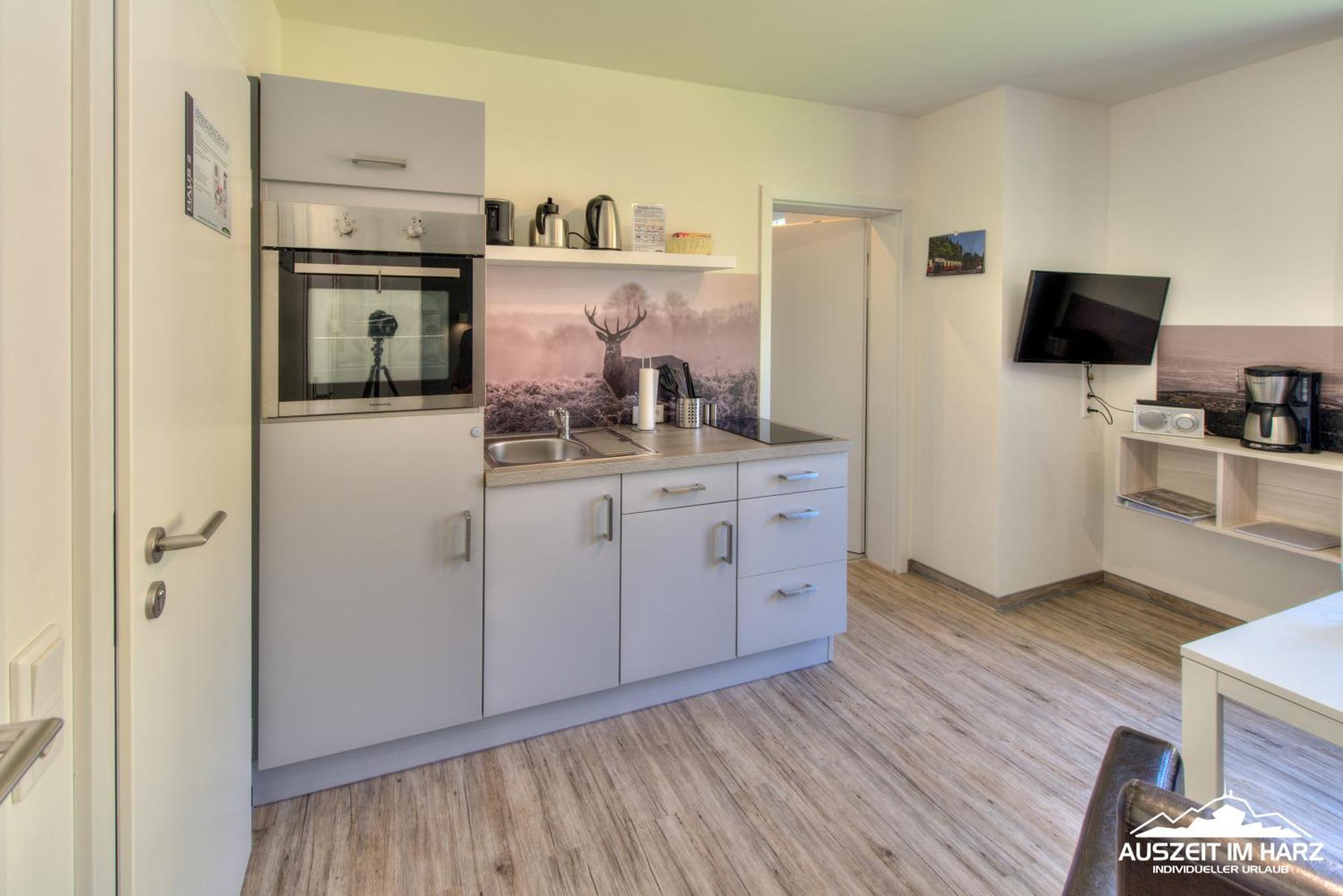 Auszeit-Im-Harz Haus 2 Wohnung 4 Ширке Екстер'єр фото